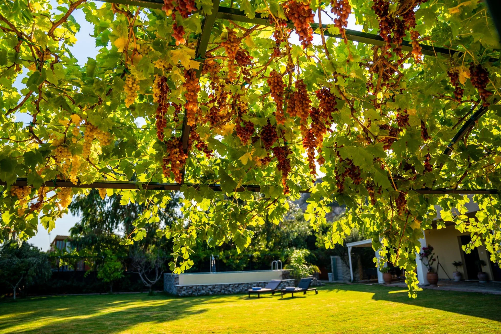 Villa Aitheria garden